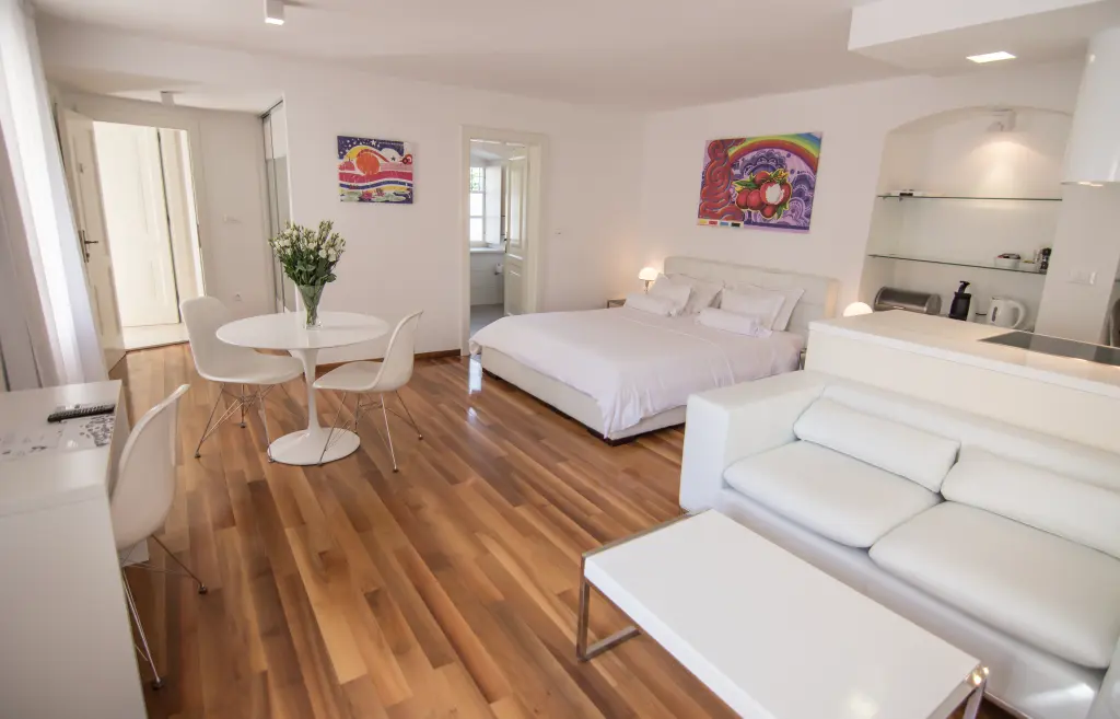 Premium Studio Apartment